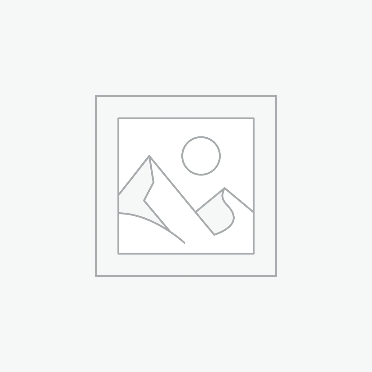 Raben-Symbol Amulett